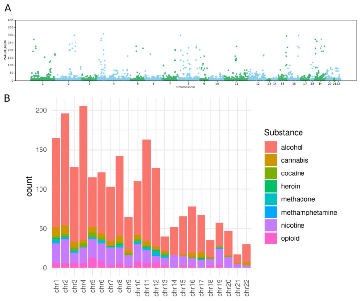(A). Manhattan plot of the SNPs associated with substances in relation to the opposite of the logarithm of their p-value (PVALUE_MLOG). From the GWAS catalog, for autosomes, SNPs with the following keywords in the column “reported trait” were extracted: opioid, alcohol, cannabis, cocaine, heroin, methadone, methamphetamine, nicotine and tobacco. We removed associations with missing reported genomic location. (B). Histogram of the count of SNPs associated with specific substances (see colour code) per chromosome. For each chromosome the number of associated markers has been stratified for each substance.