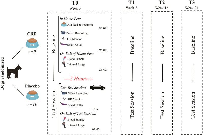 Overview of testing schedule and measures collected.