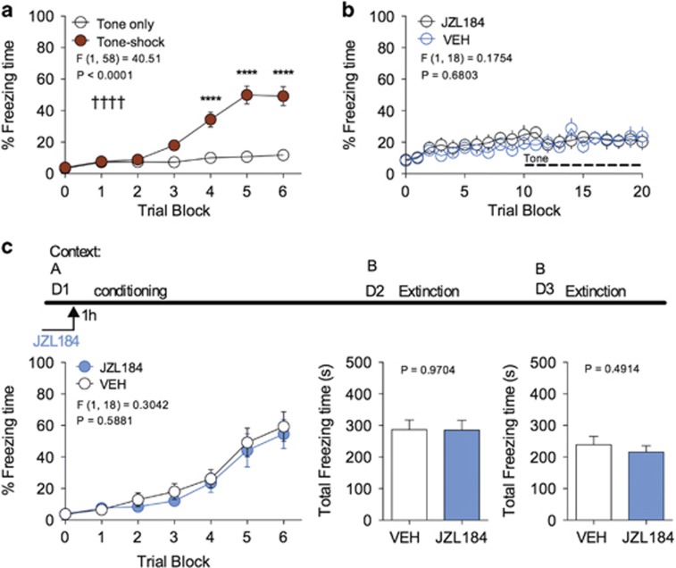 JZL184 does not affect acquisition of conditioned fear. (a) Effect of tone–shock (CS–US) pairings on freezing behavior in cued-conditioned fear learning. (b) Effects of JZL184 pre-treatment on freezing behavior in naive (non-conditioned) mice. (c) Fear conditioning and extinction schematic. Effect of JZL184 on freezing behavior during conditioning or short-term extinction sessions when administered prior to the conditioning session. ††††P<0.0001 significant effect of conditioning treatment by two-way ANOVA. ****P<0.0001 significantly different from non-conditioned treatment by Sidak's multiple comparisons. Error bars represent s.e.m. (a) n=30 mice per group. (b and c) n=10 mice per group. ANOVA, analysis of variance; CS–US, conditioned stimulus–unconditioned stimulus.