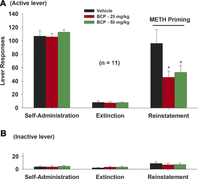 The effects of BCP pretreatment on METH-induced reinstatement of drug seeking in rats. (A): Active lever presses during the last session of METH self-administration, last extinction session, and reinstatement test, illustrating that BCP (25, 50 mg/kg, i.p., 30 min prior to test) significantly reduced METH priming-induced reinstatement. (B): BCP, at the same dose, had no effect on inactive lever presses during reinstatement testing. Data are presented as means ± SEM. *p < 0.05, when compared to the vehicle group.