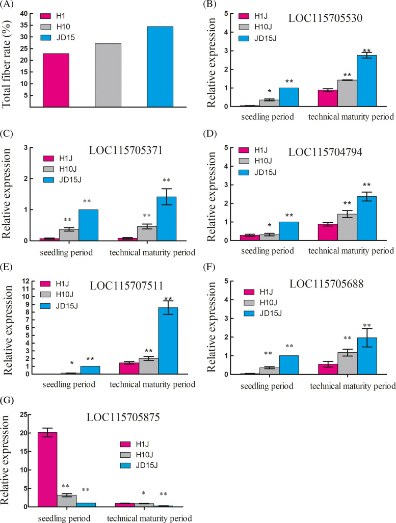 A The total fiber rate of three different hemp varieties. B-G Relative expression level of six candidate genes in different hemp varieties. Each bar represents the average expression level of three independent biological replicates. Error bars show standard errors of the average values. (*P < 0.05, **P < 0.01)