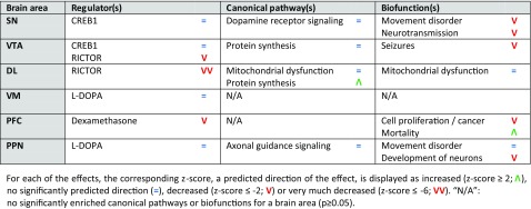 Main effects of physical exercise (saline-treated mice with physical exercise vs. saline-treated mice without physical exercise) per brain area