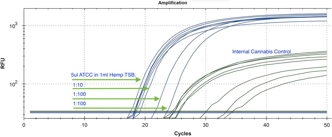 Gamma irradiated SARs-CoV-2 virus particle was diluted into 1mL cannabis homogenate and assayed with N2 amplicon and Cannabis Internal control targets (BEI Resources NR-52287). The gamma irradiated reagent was deposited by the Centers for Disease Control and Prevention and was obtained through BEI Resources, NIAID, NIH: SARS-Related Coronavirus 2, Isolate USA-WA1/2020, Gamma-Irradiated, NR-52287.