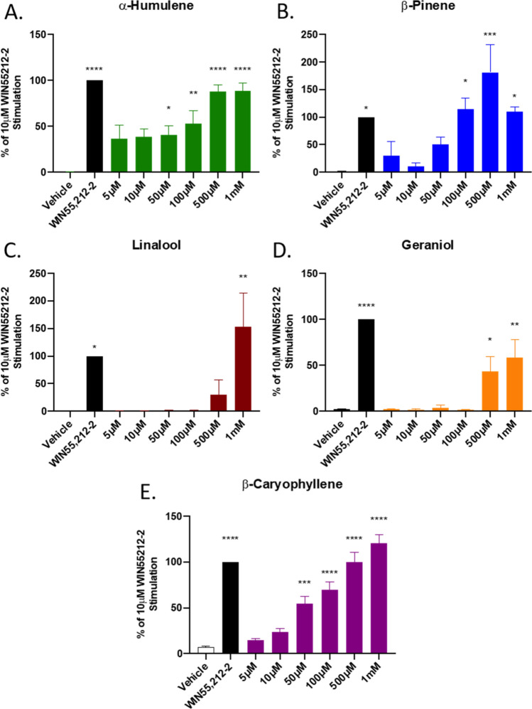 Terpene Treatment Activates the CB1 In Vitro. CB1-CHO cells were serum starved for 1 h then treated with varying concentrations of (A) α-Humulene, (B) β-Pinene, (C) Linalool, (D) Geraniol, (E) β-Caryophyllene, along with 10 μM WIN55,212-2 positive control or matched vehicle control, for 5 min. Lysates were then subjected to Western analysis and blotted for phospho-ERK and total-ERK (see Methods). Graph represents the quantified Western bands (pERK/tERK). Data expressed as a % of WIN55,212-2 stimulation (n = 3 independent experiments). Statistics analyzed via one-way ANOVA, Dunnett’s post hoc; *p < 0.05, **p < 0.01, ***p < 0.001, ****p < 0.0001, compared to vehicle stimulation.