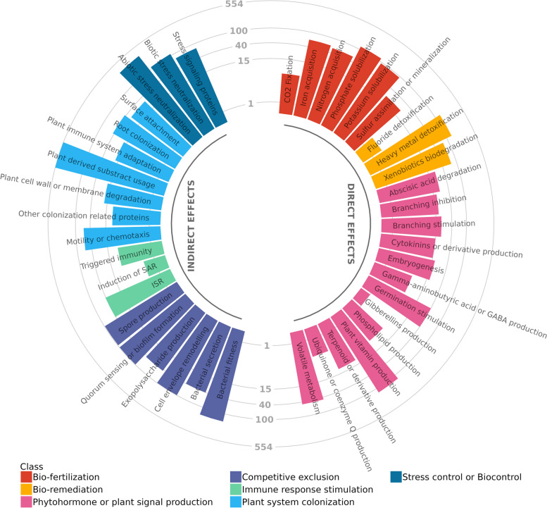 Predicted PGP functions of B. frigoritolerans C1141. Arches divide the identified PGP functions, represented by the bars, into direct and indirect effects. The height of each bar is shown in log10 scale and describes the number of genes found for each PGP function and the colours group the different PGP functions into different classes