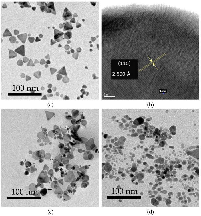 (a) HR-TEM and (b) TEM images of the synthesized TSNPs after separation. (c) AgNPs before and (d) AgNSs after separation.