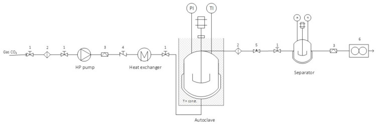 Supercritical fluid extraction system; 1: valve, 2: high pressure filter, 3: rapture disc, 4: one-way valve, 5: regulating valve, 6: gas flowmeter, PI: pressure indicator and TI: temperature indicator.