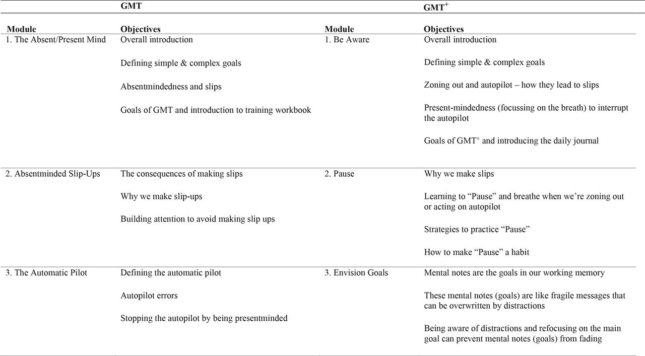 Revised program structure for GMT+