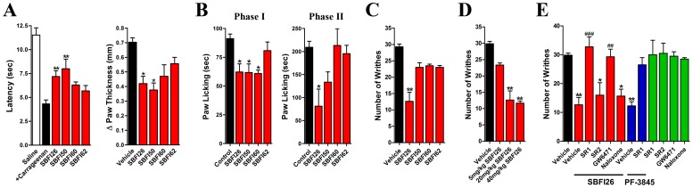 FABP inhibitors reduce nociception in models of inflammatory and visceral pain.(A) Effects of SBFI26, SBFI50, SBFI60, and SBFI62 (20 mg/kg, i.p.) upon carrageenan-induced thermal hyperalgesia (left panel) and paw edema (right panel) in mice. *, p<0.05; **, p<0.01 versus carrageenan injected animals (black bar) (n = 6). (B) Effect of FABP inhibitors (20 mg/kg, i.p.) upon the first (left panel) and second phases (right panel) of formalin-induced nociception in mice. *, p<0.05 versus vehicle control (n = 6). (C) SBFI26 reduces acetic acid-induced writhing in mice. **, p<0.01 (n = 6). (D) Dose-response of SBFI26-mediated inhibition of acetic acid writhing in mice. **, p<0.01 (n = 6). (E) The antinociceptive effects of SBFI26 are reversed by the cannabinoid receptor 1 antagonist rimonabant (SR1, 3 mg/kg) and the peroxisome proliferator-activated receptor alpha antagonist GW6471 (4 mg/kg). In contrast, the cannabinoid receptor 2 antagonist SR144518 (SR2, 3 mg/kg) and the opioid antagonist naloxone (2 mg/kg) were without effect. Rimonabant also reversed the antinociceptive effects of the FAAH inhibitor PF-3845 (blue bars). When administered alone, the antagonists did not modulate nociception (green bars). *, p<0.05; **, p<0.01 versus vehicle control. ##, p<0.01; ###, p<0.001 versus SBFI26 treated mice (n = 6–9).