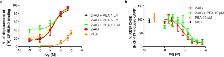 Effects of PEA on 2-AG affinity and efficacy at the human CB2 receptor. a Displacement curves of 2-AG and PEA, alone and in combination, in a competition binding assay. The curves show the effect of increasing concentrations of 2-AG, PEA, or 2-AG plus PEA at displacing [3H]-CP-55,940 from the human recombinant CB2. All experiments were performed in membranes from HEK-293 cells overexpressing the human recombinant CB2 receptors. Data are the mean ± SEM. The effect of WIN55, 212-2 (10 μM) was considered as 100% displacement. b Concentration-response curves of 2-AG and PEA, alone and in combination, in a cAMP-based functional assay. The curves show the % of the response relative to the maximum effect observed on NKH-477-induced cAMP levels in CHO-Kl cells stably overexpressing the human recombinant CB2 receptor with increasing concentrations of 2-AG, PEA, or 2-AG following incubation with PEA.