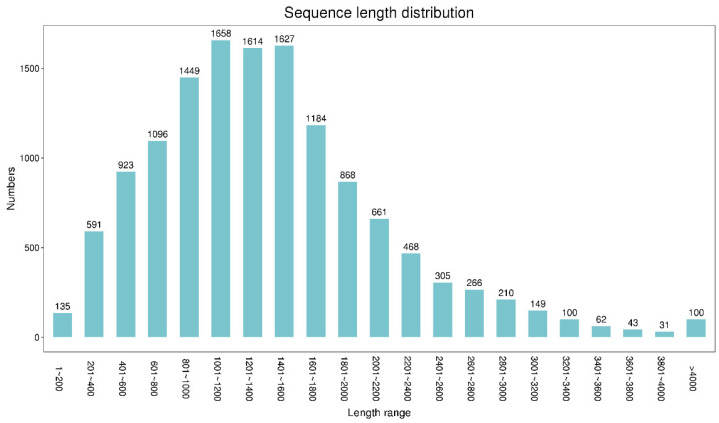 Sequence length distribution of CDS.