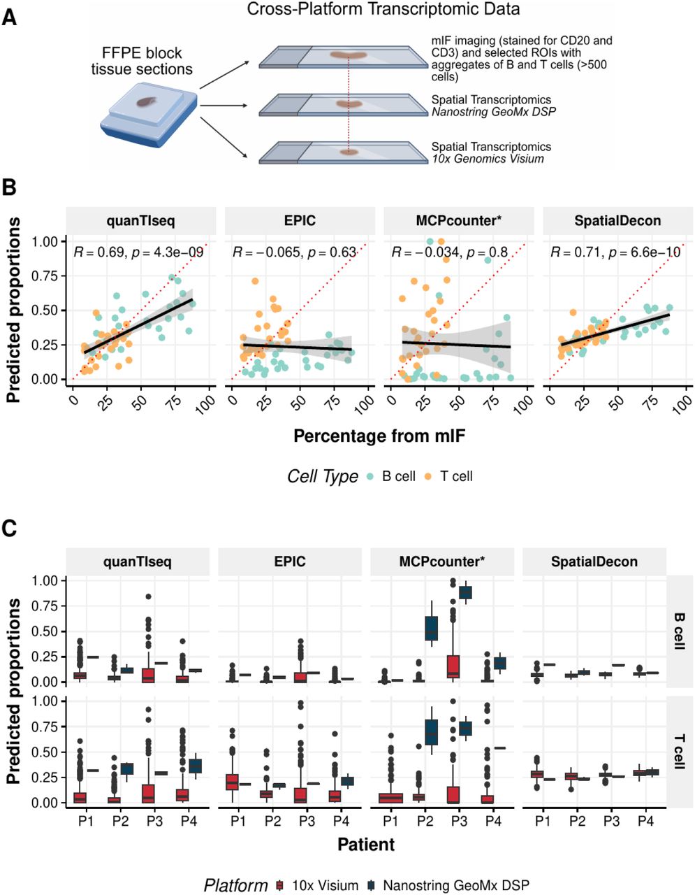Quantification of B and T cells in cross-platform transcriptomic data(A) Schematic representation of matched regions of an FFPE tissue block profiled by mIF (stained for CD20 and CD3), Nanostring GeoMx DSP, and 10x Genomics Visium v2 FFPE spatial transcriptomics. (B) PCC between proportions of B and T cells as seen in mIF images (stained for CD20 and CD3) and the predicted proportions of the cells in the consecutive tissue section that was processed using Nanostring GeoMX DSP. The red dotted line represents the line of identity (x = y). *MCPcounter scores were scaled to [0,1] to create relative cell-type values while preserving their distribution (see methods). (C) Predicted proportions of B and T cells from regions with immune cell aggregates from 10x Visium spots and Nanostring GeoMX DSP ROIs from four patients. Boxplots represent median, 25th and 75th percentiles. There are multiple spots (ca. 50-100) in the areas designated as ‘immune cell rich’ in 10x Visium which are compared against 1-4 regions of interest in Nanostring GeoMx DSP per patient.