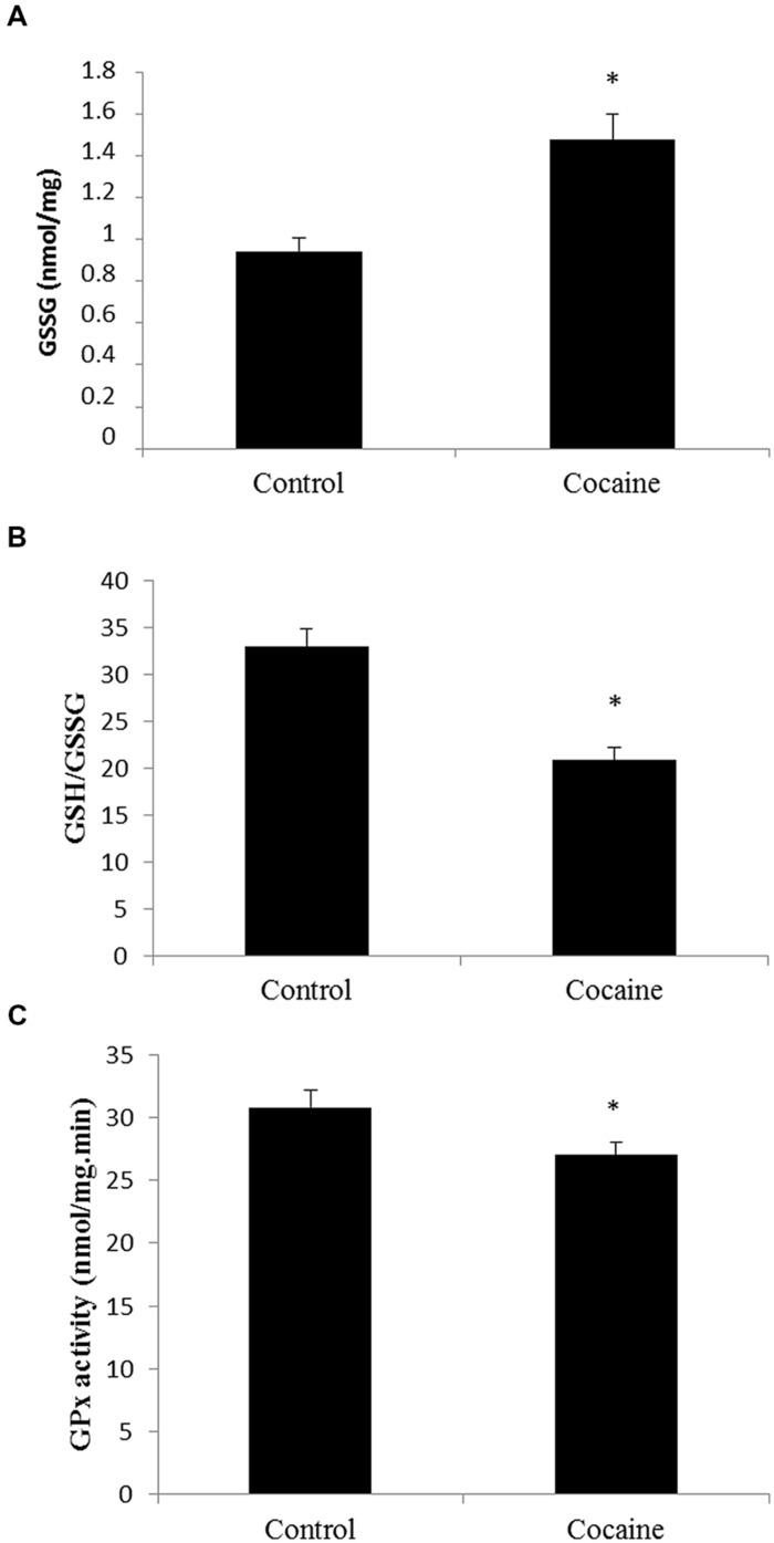Effect of cocaine administration on cerebellar antioxidant defenses. (A) GSSG concentration (nmol/mg prot) *p < 0.05 vs. control group. (B) GSH/GSSG ratio *p < 0.05 vs. control group. (C) GPx activity (nmol/mg.min) *p < 0.05 vs. control group.