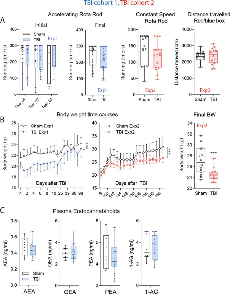 Motor functions and general well-being in TBI versus sham mice in a controlled cortical impact model. (A) Box/scatter plots showing running times in rotarod trials with accelerating speed or constant speed in experiment-1 with TBI/sham cohort-1 (blue) and experiment-2 with TBI/sham cohort-2 (red). Initial tests were done 10–14 days after TBI before tests of nociception and cognition. Final rotarod runs were done after completion of IntelliCage experiments 3 months (Exp1) or 6 months (Exp2) after surgery. The right panel shows the distance traveled in the red/blue box. The box shows the interquartile range, the line is the median; the whiskers show minimum to maximum, each scatter is a mouse. In 'Final-Exp1’ each mouse is represented with 2 trials. (B) Time courses of the body weights (means ± SD) in TBI and sham mice up to 35 days after surgery in Exp1 (blue, n = 10 sham, n = 21 TBI) and up to 170 in Exp2 (red; n = 15 both groups). Asterisks indicate significant differences between groups (2-way ANOVA for time courses, factor "group", 2-sided independent T test for comparison of final body weights, ***< 0.001; P adjusted according to Šidák for comparison of individual time points). (C) Plasma concentrations of endocannabinoids: anandamide AEA, oleoylethanolamide, OEA, palmitoylethanolamide, PEA and 1-arachidonoylglycerol, 1-AG in TBI/sham mice of cohort-1 at the end of the observation 101 days after surgery. The box shows the interquartile range, the line is the median; the whiskers show minimum to maximum, each scatter is a mouse. Concentrations did not differ significantly between groups. Graphs were created with Graphpad Prism 8.4 (https://www.graphpad.com), exported as emf and arranged and labeled in Adobe Illustrator CC2020 (https://www.adobe.com/de), and exported to TIFF format.