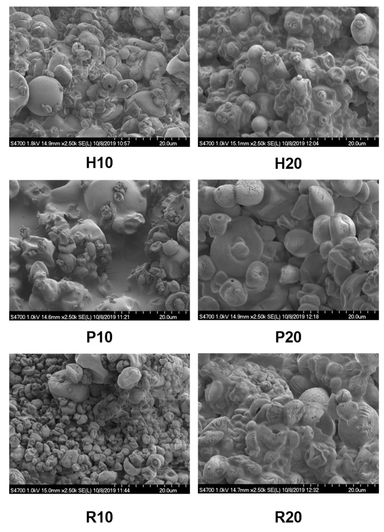Protein–maltodextrin-coated hempseed oil microcapsules observed with SEM.