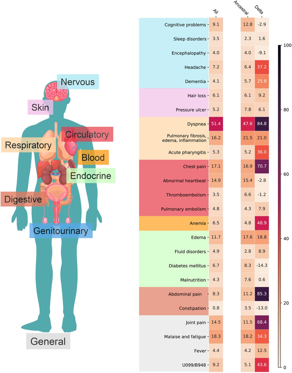 Adjusted excess burden per 1,000 patients of potential incident PASC conditions for the entire study period (March 2020-November 2021), ancestral strain period (March 2020-September 2020), and Delta variant period (June 2021-November 2021).