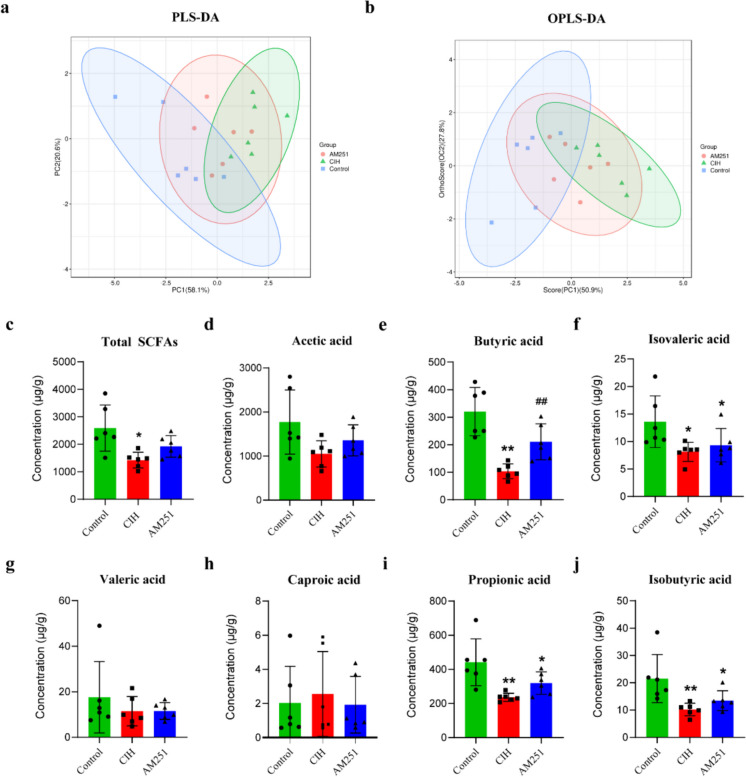 CB1 receptor inhibition may ameliorate SCFA metabolic disorders induced by CIH. a Partial least squares discrimination analysis (PLS-DA). b Score plot of the OPLS-DA model. c–j Concentrations of SCFAs in each group. c Total SCFAs. d Acetic acid. e Butyric acid. f Isovaleric acid. g Valeric acid. h Caproic acid. i Propionic acid. j Isobutyric acid. *P < 0.05, **P < 0.01, compared to the Control group; #P < 0.05, ##P < 0.01, compared to the CIH group