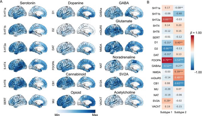 The association between neurotransmitter distribution and changes in MIND. (A) Neurotransmitter systems were mapped with positron emission tomography, resulting in a map of 308 cortical regions. (B) The heatmap displayed the spatial correlation analysis between neurotransmitters and t‐maps of patients with MDD subtypes 1 and 2 alongside controls.