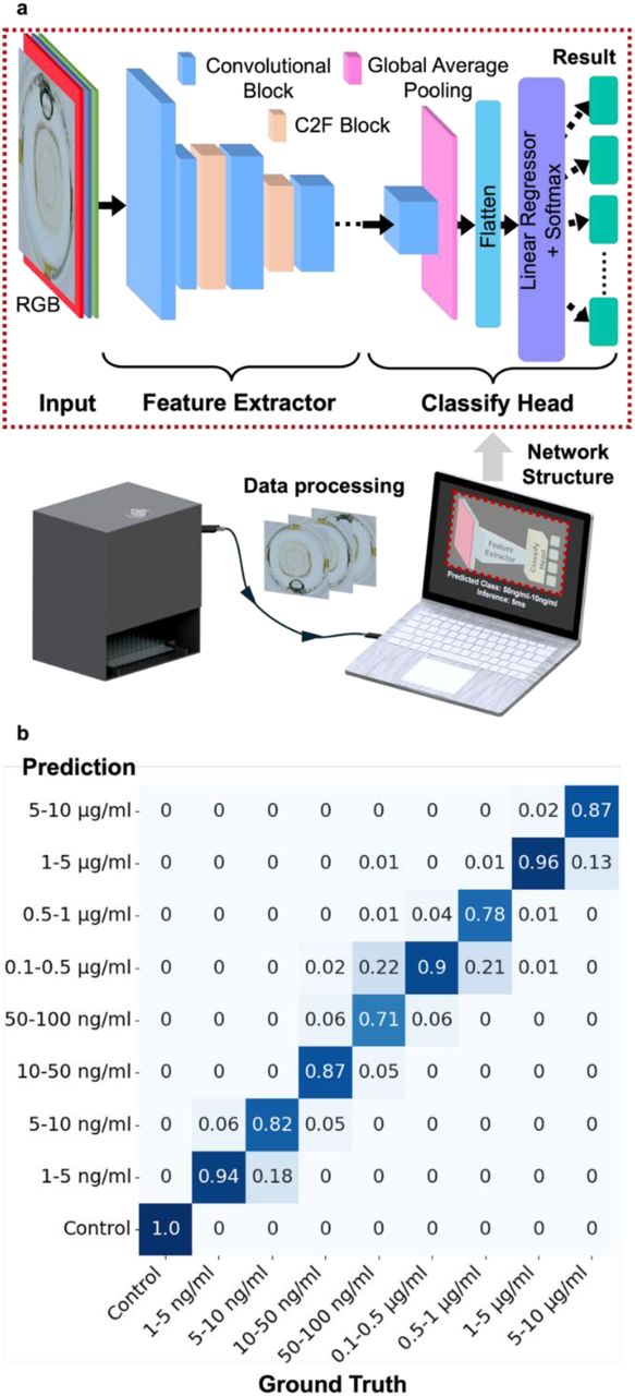 ML network structure and performance.a, Schematic representation of data processing and model training workflow with YOLO-based classification network structure. b, Confusion matrix of the trained model performance.