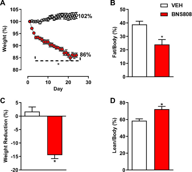 Peripheral CB1R blocker, BNS808, is effective in reducing obesity. BNS808 (1 mg/kg/day for 24 days) reduced body weight (A, B) and fat mass (C) and increased lean body mass (D) in diet-induced obese mice. Data represent the mean ± SEM from 6 mice per group. *P < 0.05 vs vehicle-treated control.
