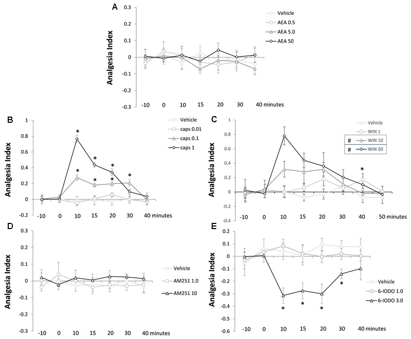 Lack of effects of AEA (A) and AM251 (D) and effects of capsaicin (B), WIN (C), and 6-IODO (E) injected into the dPAG on the TFL of mice exposed to the tail-flick test. Microinjection was performed at “zero” time. N = 4–7. Dots in the line chart represent mean ± SEM. Two-way ANOVA (repeated measures) followed by Duncan post hoc test. ∗P < 0.05 compared to vehicle-treated animals. #P < 0.05 compared to vehicle-treated animals until 20 min post-treatment.