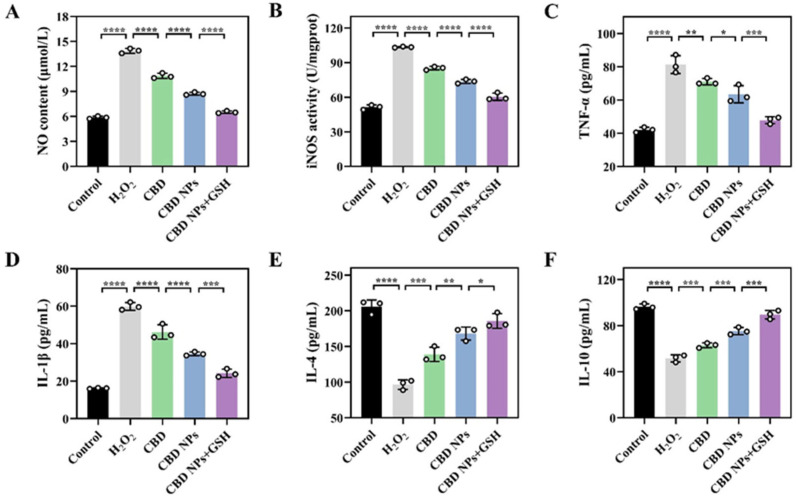 Inflammation level analysis. The levels of (A) NO, (B) iNOS, (C) TNF-α, (D) IL-1β, (E) IL-4, and (F) IL-10 in HepG2 cells. The values are presented as the mean ± SD (n = 3). Statistical significance is indicated as follows: * p < 0.05, ** p < 0.01, *** p < 0.001, and **** p < 0.0001.