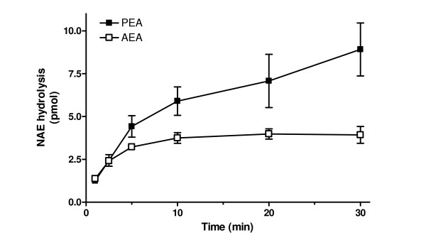 Time course of hydrolysis of AEA (anandamide) and PEA (N-palmitoylethanolamine) in BV2 microglial cells. Data are means ± SEM of six independent experiments conducted in triplicate.