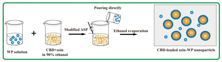Synthesis of CBD-loaded zein–WP nanoparticles.