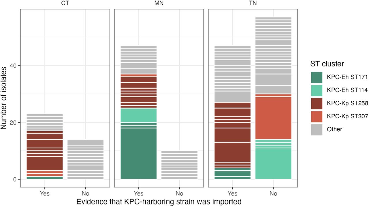Evidence of importation and clonal dissemination differs across states and sequence types (STs).Clusters are separated by white lines between the colored bars, where the bar height of a given cluster is the cluster size. Clusters were defined as subclades that were monophyletic for a single state. Importation events were considered those with a KPC+ edge transition from another state to the EIP state (see Methods). We observed events with limited onward transmission in all states. We also see a large cluster of E. hormaechei ST171 in MN that arose from a putative importation event, indicating importation followed by sustained dissemination. Additionally, we observed large clusters of E. hormaechei ST114 and K. pneumoniae ST307 in TN with no evidence of importation from another state. CT=Connecticut; MN=Minnesota; TN=Tennessee; ST=sequence type; Eh=E. hormaechei; Kp=K. pneumoniae.
