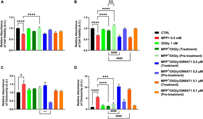 Cell viability (A,B) and cytotoxicity (C,D) in (A,C) not-differentiated and (B,D) differentiated SH-SY5Y cells measured with the ApoTox-Glo triplex assay. Histograms represent the percentage, with respect to control cells (CTRL, 100%), of viable cells (A,B) or dead cells (C,D) after the exposure to MPP+ (0.5 mM), OlGly (1 nM), and GW 6471 (0.5 and 0.1 μM) in both simultaneous treatment and pre-treatment experiments. Data are represented as mean ± SEM. *Indicates values statistically significant vs. MPP+; # indicates values statistically significant vs. MPP+/ OlGly (simultaneous treatment); + indicates values statistically significant vs. MPP+/ OlGly (pre-treatment); § indicates values statistically significant of MPP+/ OlGly (simultaneous treatment) vs. MPP+/ OlGly (pre-treatment). Student’s t-test was used for statistical analysis (N = 6). ****Indicates values statistically significant with p < 0.0001; ***, ###, and §§§ indicates values statistically significant with p < 0.001; #### indicates values statistically significant with p < 0.0001; + + indicates values statistically significant with p < 0.01; * indicates values statistically significant with p < 0.05.