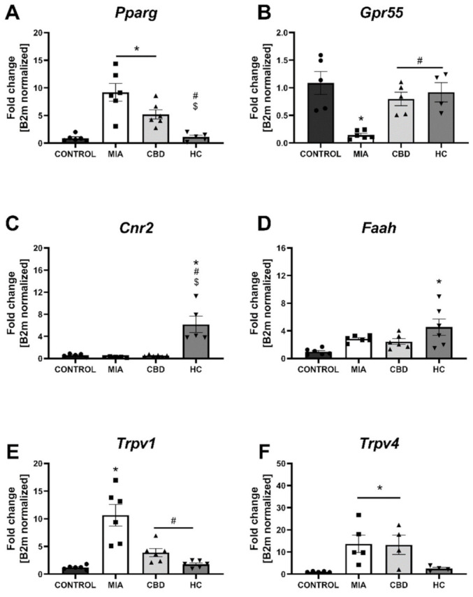 Molecular changes in CBD-associated target expression in the lumbar spinal cord. Gene expression of Pparg (A), Gpr55 (B), Cnr2 (C), Faah (D), Trpv1 (E), Trpv4 (F), Trpm8 (G), Trpa1 (H), Garba5 (I) and Htr3a (J) was evaluated in the lumbar spinal cord at Day 28 post MIA and 5 h after drug administration. CBD was administered at a dose of 50 mg/kg at both Days 21 and 28 post MIA injection either alone (CBD) or in combination with AP-18 (0.2 mg/kg) at Day 21 and HC-067047 (10 mg/kg) at Day 28 post MIA (HC). ANOVA revealed significant changes in all tested parameters with p < 0.05. Individual data points are shown in boxes presenting the mean ± SEM of fold change normalized to the reference gene beta-2 microglobulin (B2m). ● denotes samples in control group; ■ denotes samples in MIA group; ▲ denotes samples in MIA + CBD group; ▼ denotes samples in MIA + CBD + AP-18 followed by HC-067047 group. Statistical analysis was performed using one-way ANOVA followed by Tukey’s post hoc test with a p < 0.05 confidence interval. Each experimental group includes N = 4–6 rats. * Denotes significant differences vs. control; # Denotes significant differences vs. MIA; $ Denotes significant differences vs. CBD.