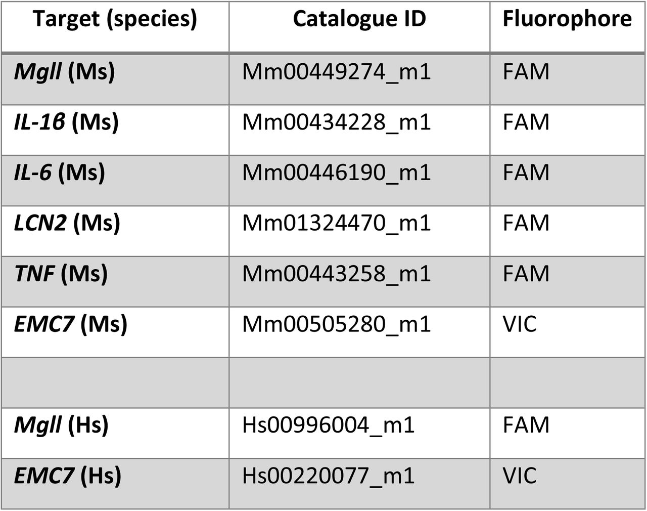 Droplet digital qRT-PCR TaqMan assays. Mm = Mus musculus, Hs = Homo sapiens.