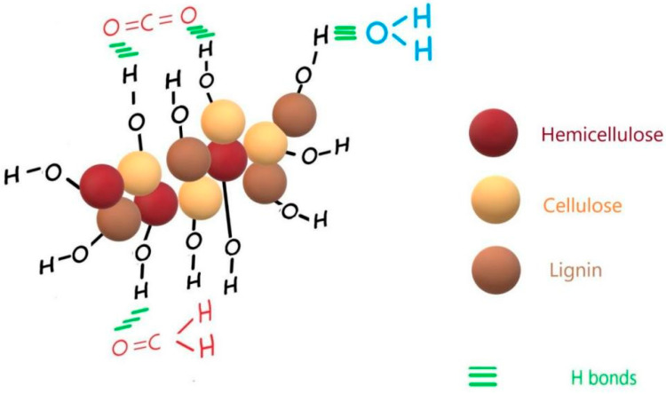 Schematical representation of CO2, water and formaldehyde adsorption on PLD-HMP-STK thin film.