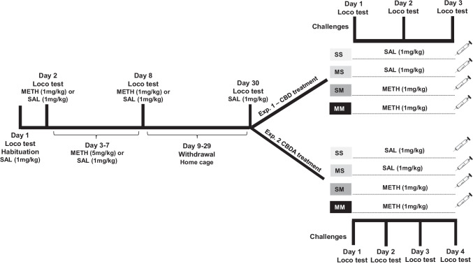Schematic of experimental procedure and timeline for METH sensitisation protocol. Experiment 1 tested CBD treatment; experiment 2 tested CBDA treatment. Abbreviations: METH, methamphetamine; SAL, saline; VEH, vehicle; CBD, cannabidiol; CBDA, cannabidiolic acid; Loco, locomotor activity