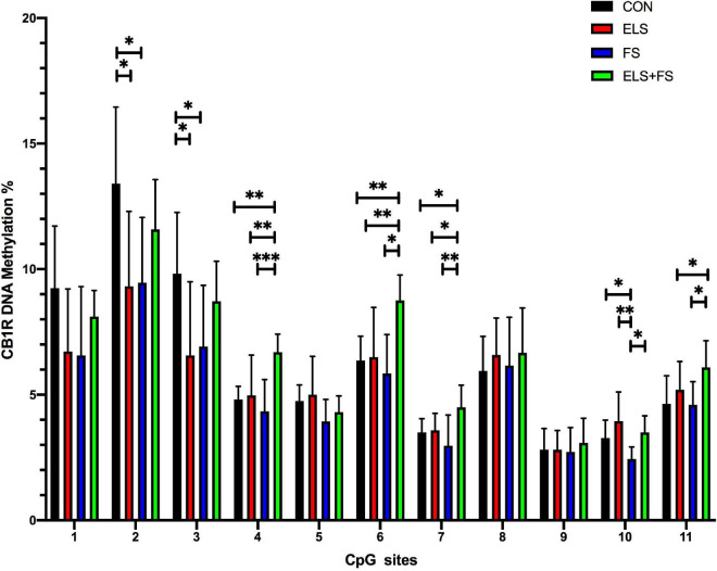 Overview of DNA methylation changes at individual CpG sites within the promoter region of the CB1R gene. SNK post-hoc test revealed CpG-site specific significant differences between the experimental groups (*p ≤ 0.05, **p ≤ 0.01, ***p ≤ 0.001). All bars depict mean ± SD. CON, control (n = 9); ELS, early life stress (n = 9); FS, forced swimming (n = 8); ELS + FS, early life stress + forced swimming (n = 9).