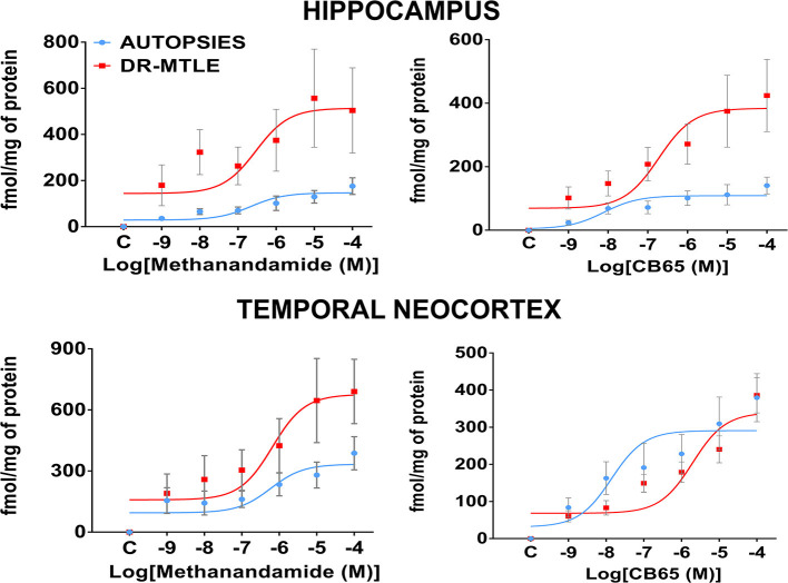 Gαi/o protein activation induced by agonists of CB1 and CB2 receptors in the human microvessels. Specific [35S]-GTPγS binding to cell membranes obtained from microvessels of the hippocampus and the temporal neocortex of non-epileptic autopsies and patients with DR-MTLE as a function of increasing concentrations of methanandamide (CB1 agonist) and CB65 (CB2 agonist). Each point represents the mean ± SE of the individual percentage stimulation over the basal values. Values are expressed as fmol/mg of protein.