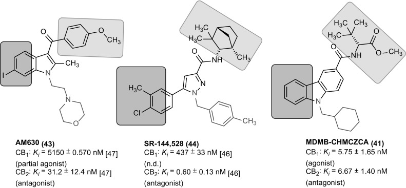 Structural comparison of CB2 antagonists/inverse agonists [46, 47]