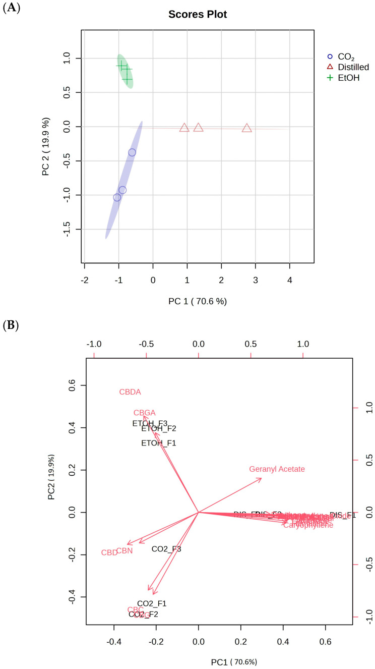 (A) Principal component analysis (PCA) plot of samples based on peak area of identified metabolites. (B) Biplot of samples with identified metabolite peak area as variables.