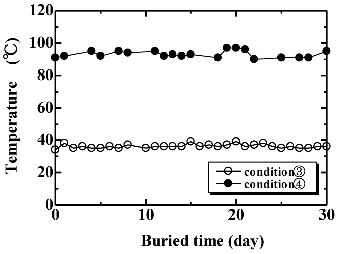 Temperature of compost soil (condition 3,4).