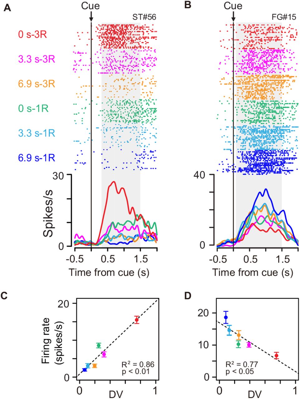 Cue responses of temporally discounted value coding.(A-B) Activity of example neurons during cue period. Rasters and spike density histograms are aligned at cue onset. The color corresponds to each reward condition. Rasters are shown in order of occurrence of trials from bottom to top in each condition. Shaded areas on rasters are time windows for evaluating the magnitude of cue response. (C-D) Relationship between firing rate (mean ± sem) and temporally discounted value (DV, Equation 1) for neuronal activities shown in (A) and (B), respectively.