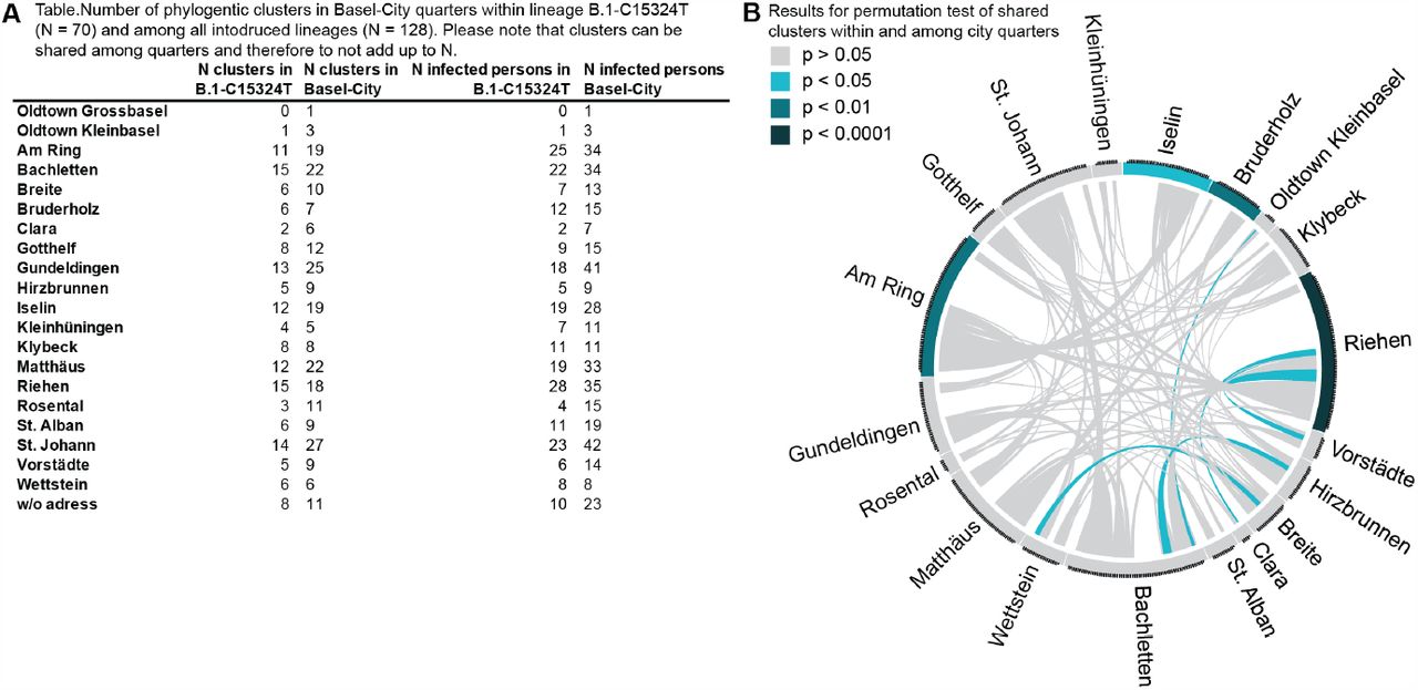 Phylogenetic clusters in quarters of Basel-City. A) Number of clusters within B.1-C15324T and within all viral variants in quarters of Basel-City. B) Visualisation of permutation analysis of shared phylogenetic clusters within and among urban quarters in Basel-City.