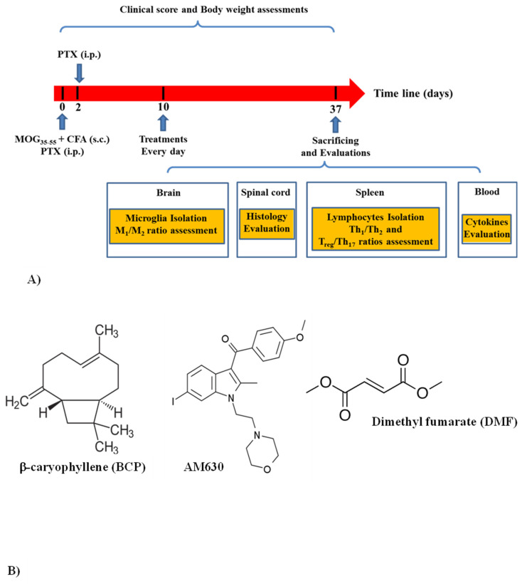 Treatment protocol, chemical structures, and flow cytometric analysis of cell-surface expression of receptors; (A) the summarized protocols of treatment and induction; (B) chemical configurations of the compounds used in the research.