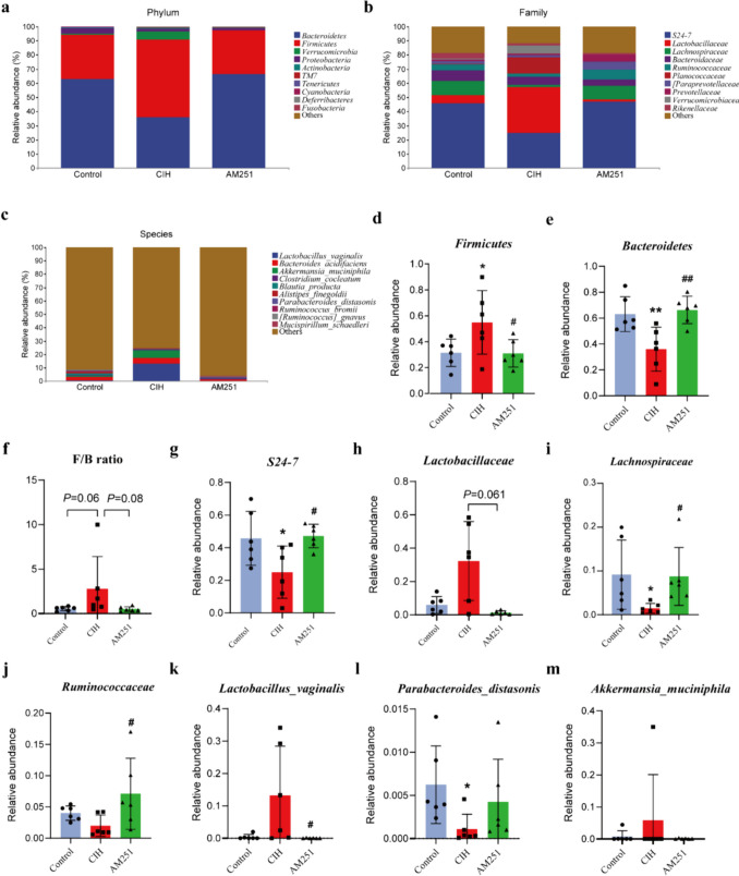 Inhibition of CB1 receptor alters the gut microbiome composition induced by CIH. a Intestinal microbial composition of top 10 phylum level. b The intestinal microbial composition of the top 10 families. c Intestinal microbial composition of top 10 species level. Difference analysis of flora at d–f phylum level, g–j family level, and k–m species level. *P < 0.05, **P < 0.01, compared to the Control group; #P < 0.05, ##P < 0.01, compared to the CIH group