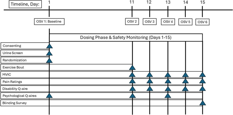 Experimental Procedures. OSV – on-site visit; MVIC – maximal voluntary isometric contraction