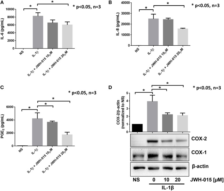 JWH-015 is anti-inflammatory in human RASFs. Upon confluency, RASFs were serum starved overnight prior to being pre-treated with JWH-015 (10 and 20 μM) for 10 min prior to the addition of IL-1β (10 ng/mL) for 24 h. Conditioned media was assayed for IL-6 (A), IL-8 (B), and PGE2 (C), and (D) cell lysates were assayed for COX expression. JWH-015 at either dose did produce a response and was removed for clarity. Bars represent mean ± SEM of *p < 0.05, one-way ANOVA n = 3 where 3 different cell lines derived from 3 different RA patients was used. NS, non-stimulated.