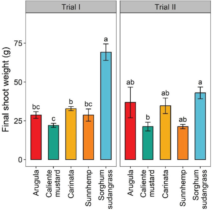 Final shoot weight of crops at termination for greenhouse Trial I and Trial II. Values are means (N = 6) with error bars indicating standard errors. Within a trial, means that share a letter are not significantly different based on Tukey’s HSD (P < 0.05).