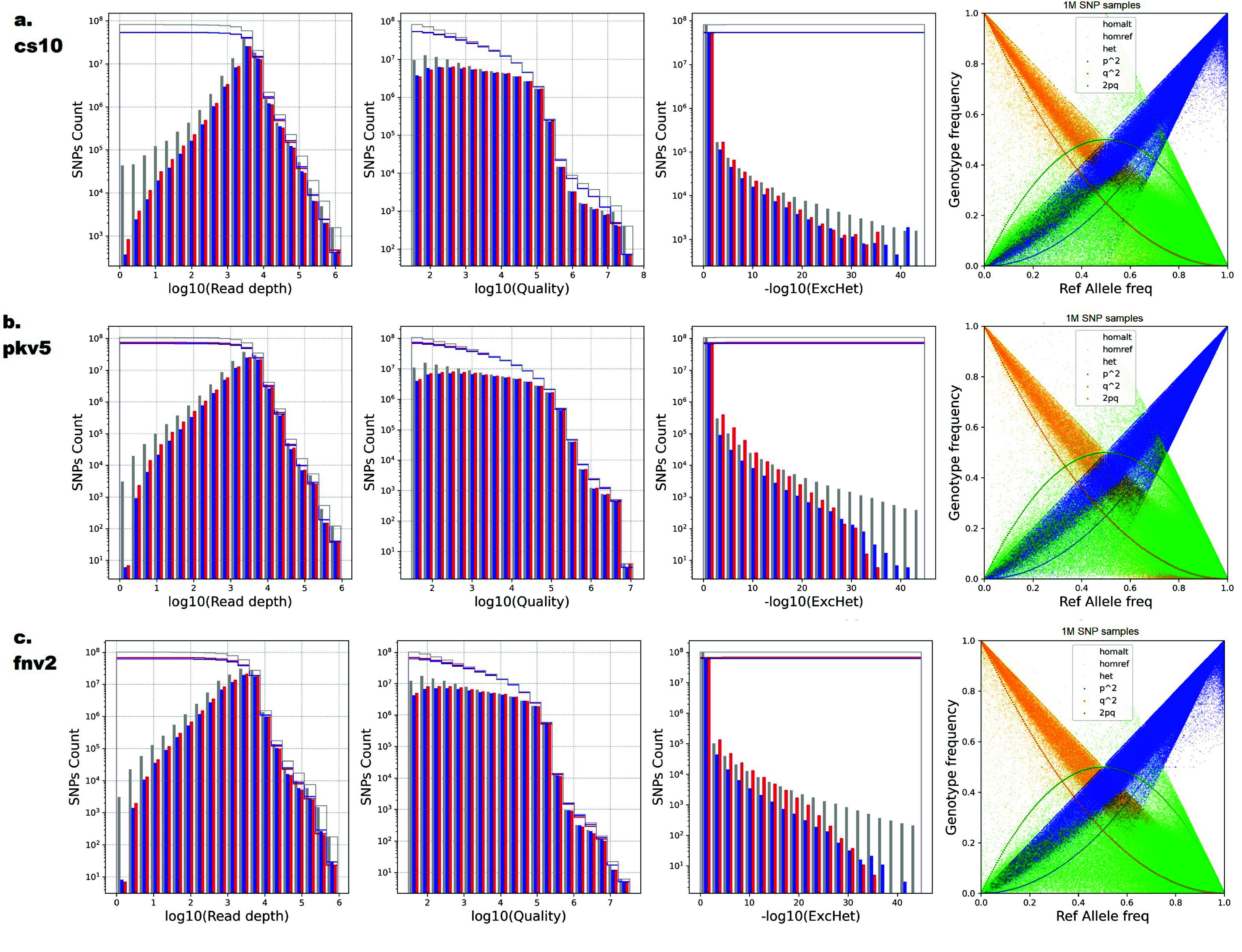 Distribution of more SNP attributes for WGS7DS using (a) cs10, (b) pkv5, and (c) fnv2 references. SNP properties (left to right): log(Read Depth DP) rate, log(Quality), and -log(ExcHet) distribution and Genotype vs. Allele Frequency (HWE) plots of the WGS7DS dataset, including all (gray), hemp-type (blue), and drug-type (red) samples. The step lines are the cumulative count when filtering from the most relaxed (maximum, no filter) to the most conservative (minimum) for quality control. The properties were counted on the vcf file using bcftools +fill-tags, and the histogram was plotted using Python matplotlib.