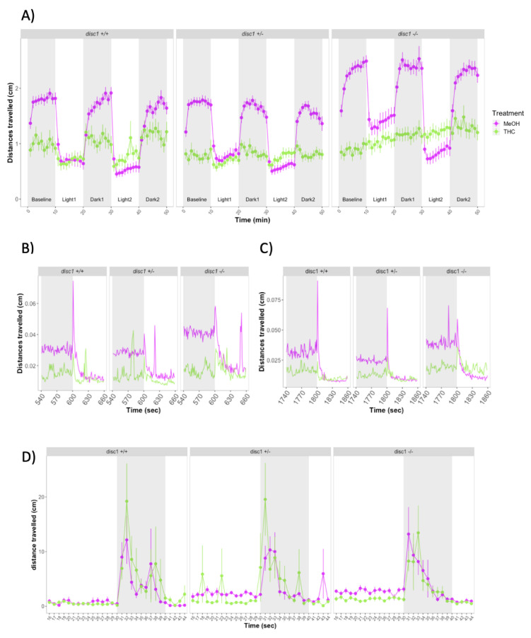 (A) Forced light/dark test in 5 dpf wild-type and disc1 loss-function mutant larvae. Sample sizes for each group: control disc1 +/+: n = 39, THC disc1 +/+: n = 29, control disc1 +/–: n = 41, THC disc1 +/–: n = 45, control disc1 –/–: n = 40, THC disc1 –/–: n = 29. Each dot represents mean distance travelled per minute. Error bars represent ± SEM. (B,C) One-second resolution plots of the transitions from dark to light during the forced light/dark test. Each dot represents mean distance travelled per second. (D) Response and habituation to startle stimuli test in 6 dpf control and THC-treated wild-type and disc1 mutant larvae. Sample sizes: control disc1 +/+: n = 36, THC disc1 +/+: n = 35, control disc1 +/–: n = 36, THC disc1 +/–: n = 35, control disc1 –/–: n = 36, THC disc1 –/–: n = 36.