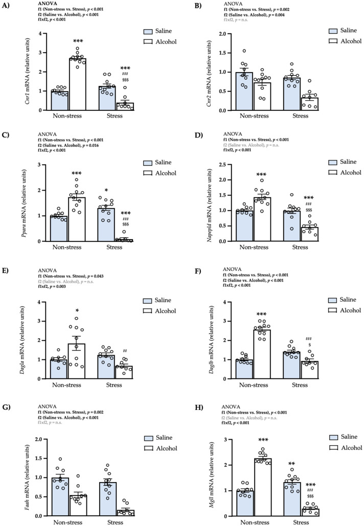 Relative mRNA expression levels of endocannabinoid-signaling genes in the mPFC of adult male rats after repeated restraint stress and/or intermittent alcohol exposure during adolescence. Relative mRNA expression of Cnr1 (A); Cnr2 (B); Ppara (C); Napepld (D); DagIa (E); Daglb (F); Faah (G); and Mgll (H) in male adult rats after repeated restraint stress (f1) and/or intermittent alcohol exposure (f2) during adolescence. Bars represent the mean ± SEM (8–10 rats/subgroup). Data were analyzed by two-way ANOVA. (*) q < 0.05, (**) q < 0.01 and (***) q < 0.001 denote significant differences compared with the non-stress saline subgroup, ($) q < 0.05 and ($$$) q < 0.001 denote significant differences compared with the stress saline subgroup, and (##) q < 0.01 and (###) q < 0.001 denotes significant differences with the non-stress alcohol subgroup using post hoc tests for multiple comparisons when an interaction between factors is found (f1 × f2). p-values in bold denote significant main effects of factors (f1 and f2) or significant interaction (f1 × f2).