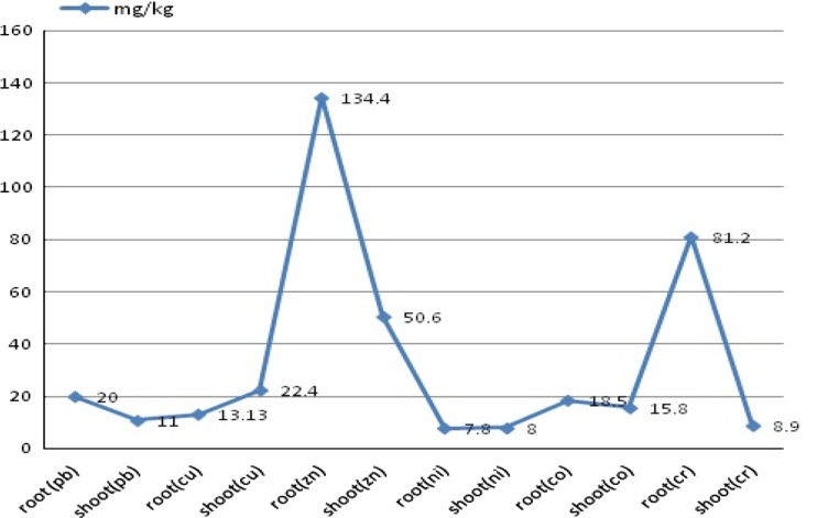 Graphical representation of accumulation of toxic heavy metals by Solanum nigrum (Malik et al. 2010)